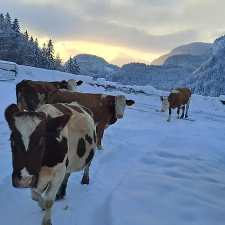 Biobauernhof Schneiderbauer * אונקן
