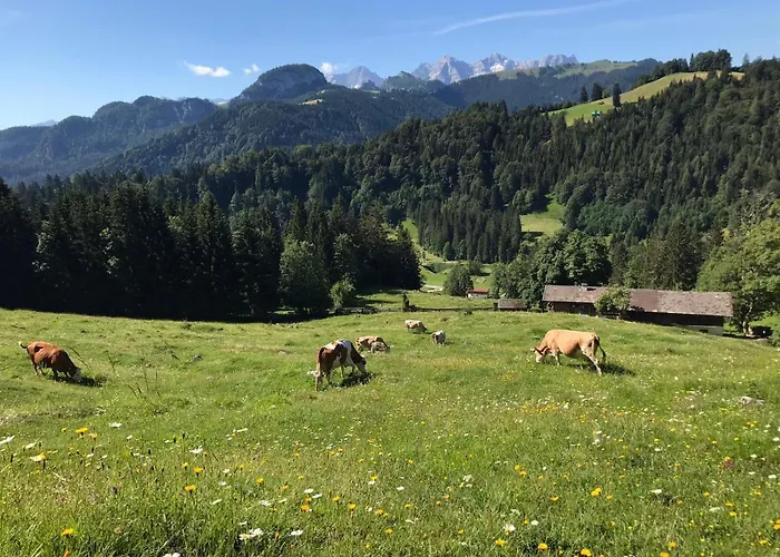 Biobauernhof Schneiderbauer Apartman