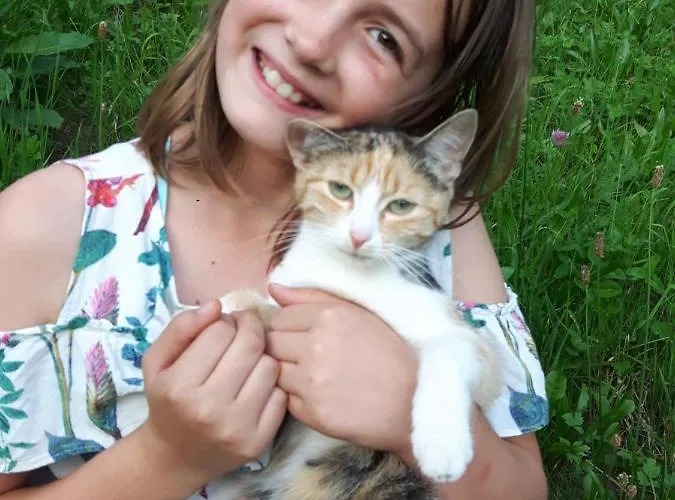 Apartment Biobauernhof Schneiderbauer Unken