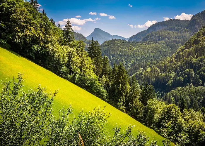 Apartment Biobauernhof Schneiderbauer